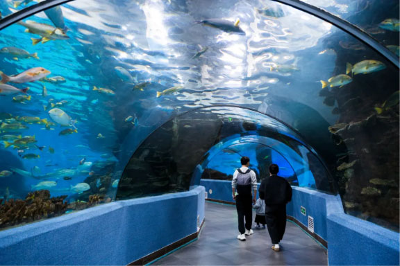 寒假遛娃天花板！合肥海洋世界游玩全攻略，暖冬遛娃不費媽